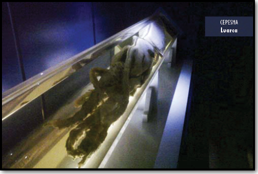 Cepesma Museo del Calamar Luarca